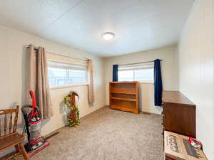 Miscellaneous room featuring wood walls and carpet floors