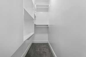 Main Walk in closet with carpet floors