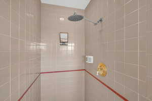 Bathroom with a tile shower