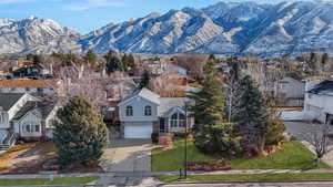 Property view of mountains-grass is edited green.