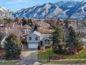 Property view of mountains-grass is edited green.