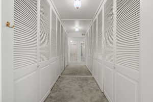 Primary Bedroom Closet and storage