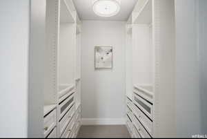 Spacious closet with light carpet