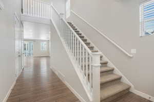 Stairs with hardwood / wood-style flooring