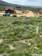 View of yard with a mountain view and a rural view