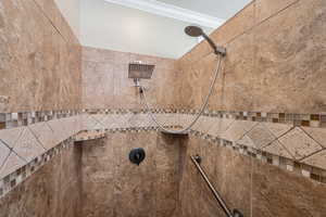 Details featuring ornamental molding and tiled shower