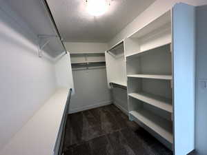 Walk in closet with dark colored carpet