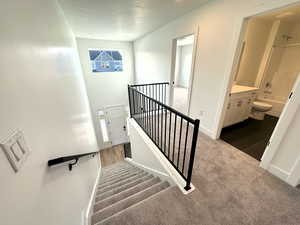 Staircase with a wealth of natural light, carpet floors, and a textured ceiling