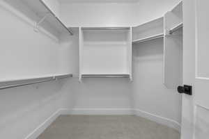 Spacious closet featuring light colored carpet