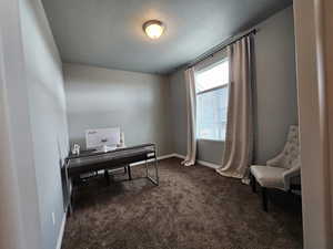 Carpeted office space featuring a textured ceiling