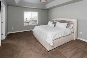 Bedroom with dark colored carpet and a raised ceiling