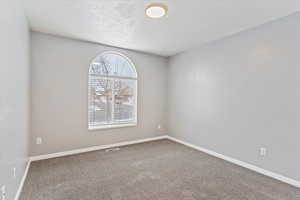 Carpeted empty room with a textured ceiling