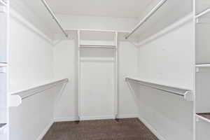 Spacious closet with dark carpet