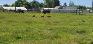 View of yard featuring a rural view