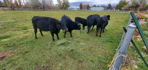 View of stable with a rural view