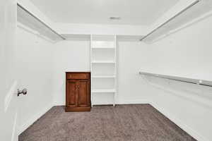 Walk in closet featuring carpet flooring