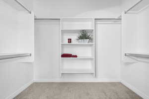 Spacious closet with carpet flooring