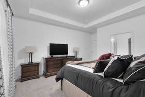 Carpeted bedroom with a raised ceiling