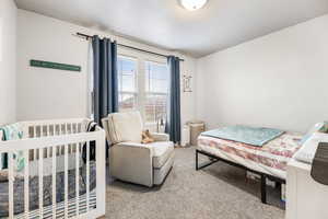 Bedroom featuring carpet flooring