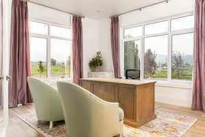 Home office featuring plenty of natural light and light hardwood / wood-style flooring