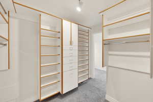 Spacious closet with carpet floors