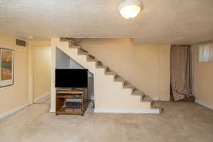 Basement with carpet floors and a textured ceiling