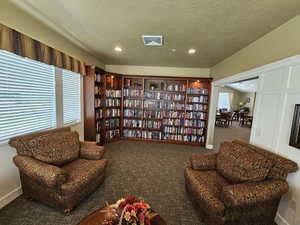 Sitting room with carpet flooring, a textured ceiling, and a wealth of natural light