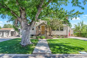 Obstructed view of property with a front yard