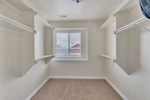 Walk in closet with carpet floors