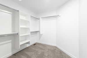 Walk in closet featuring light carpet