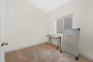 Laundry area with light carpet