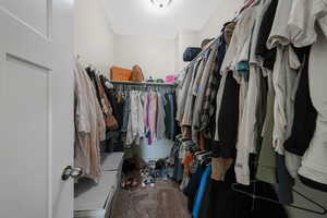 Spacious closet featuring carpet flooring