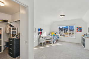 Carpeted bedroom featuring vaulted ceiling