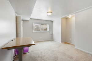 Unfurnished room with a textured ceiling and light carpet