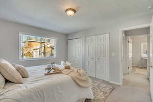 Carpeted bedroom with multiple closets