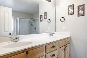 Bathroom with vanity and a shower with shower door