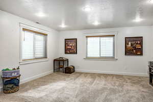 Misc room with carpet flooring and a textured ceiling