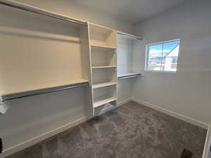 Spacious closet with dark colored carpet