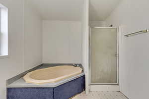 Bathroom featuring crown molding and independent shower and bath