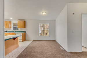 Kitchen featuring dishwasher, tile counters, light carpet, and light brown cabinets