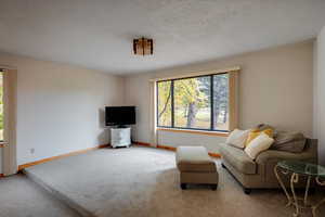 Carpeted living room with a textured ceiling