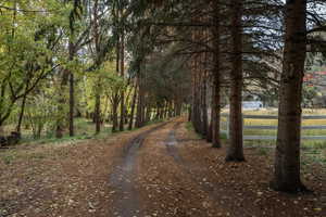 View of road