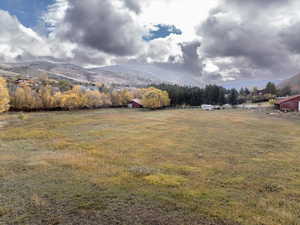 View of yard with a mountain view and a rural view