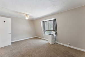 Unfurnished room with carpet