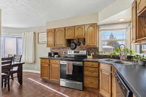 Kitchen with dark hardwood / wood-style flooring, tasteful backsplash, a textured ceiling, stainless steel appliances, and sink