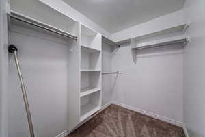 Spacious closet with dark carpet