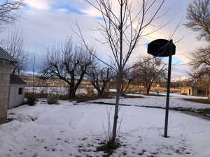 View of snowy yard