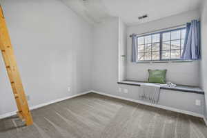 View of carpeted spare room