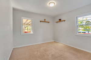 Spare room featuring light carpet and a wealth of natural light