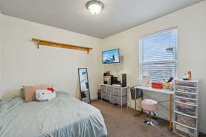 Bedroom featuring carpet